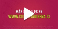  Instrumentos de Fomento Indígena